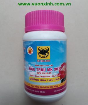 ĐẦU TRÂU 901 (DƯỠNG HOA LÂU TÀN)