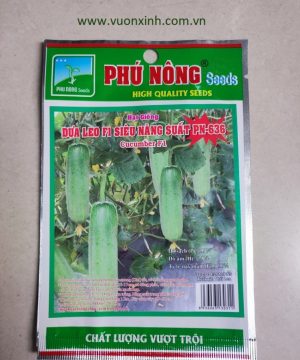 Dưa Leo F1 siêu năng suất PN-636