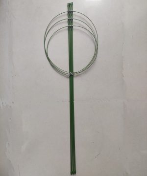 Gía đỡ Hoa Hồng, Cà chua..90cm