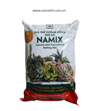 Gía thể Xương Rồng Sen Đá Namix-5dm