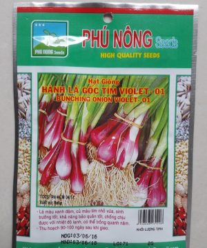 Hành lá gốc tím