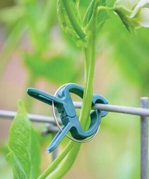 Kẹp Giữ cà chua, hoa hồng_Lớn