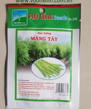 Măng Tây
