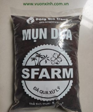 MỤN DỪA ĐÃ QUA XỬ LÝ SFARM_5dm