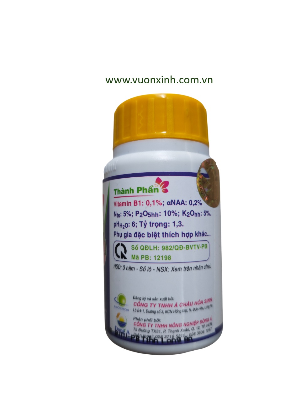Super Roots - Vitamin B1 - Ảnh 2