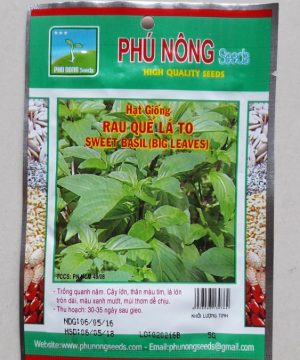 Rau Quế lá to PN