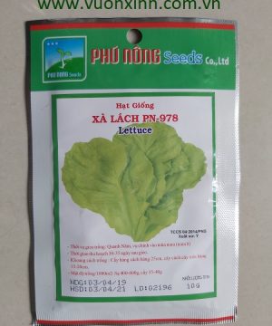 Xà Lách PN-978