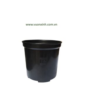 Chậu nhựa cứng tròn 15x14 Đen