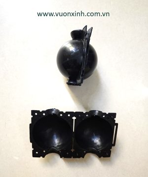 Bầu chiết cành 6cm