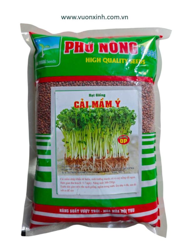 CẢI MẦM Ý -1KG