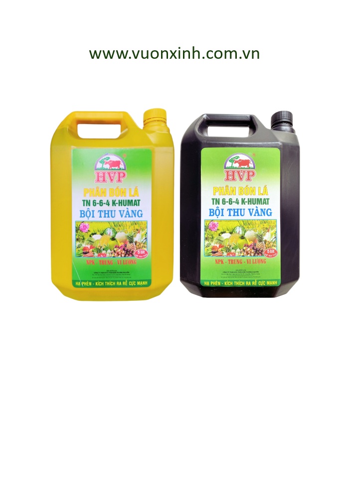 HVP BỘI THU VÀNG NPK TN 6-6-4 K – HUMAT - Ảnh 2